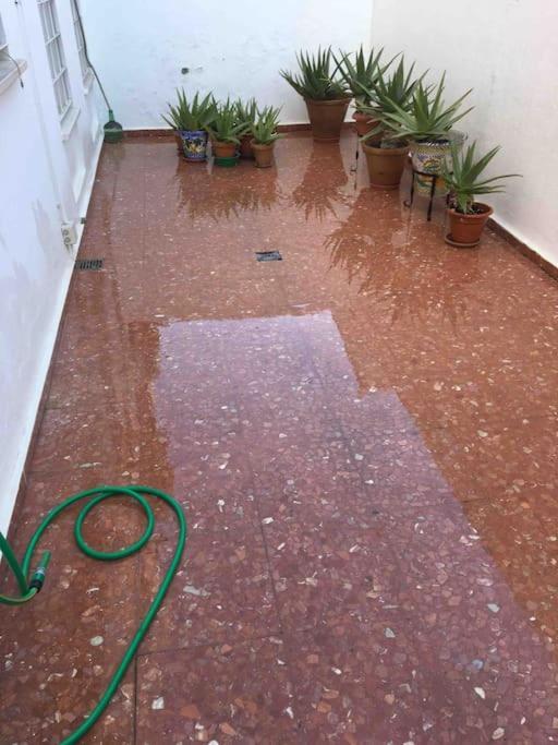 Casa Soleada En Calle Tranquila Sevilla Exteriér fotografie
